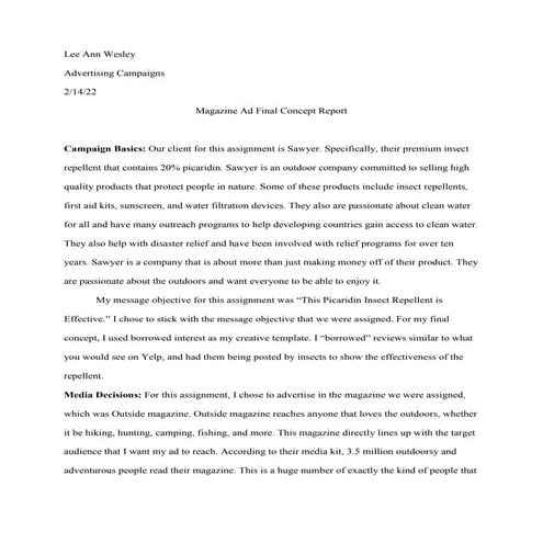 Final Magazine Ad Report