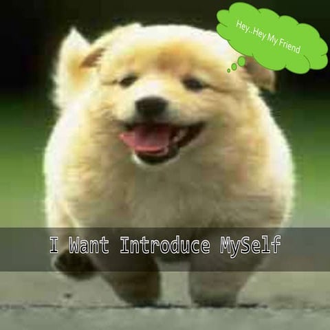 Introduce My Self | PPTX
