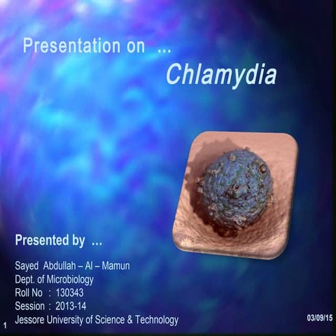 Chlamydia ; bacterial genus