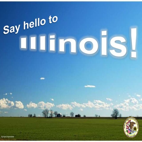 Say Hello To Illinois - WiP