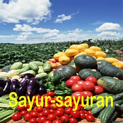 Slaid sayur sayuran | PDF