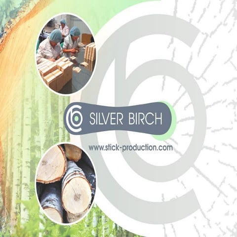 Sb презентация англ.compressed