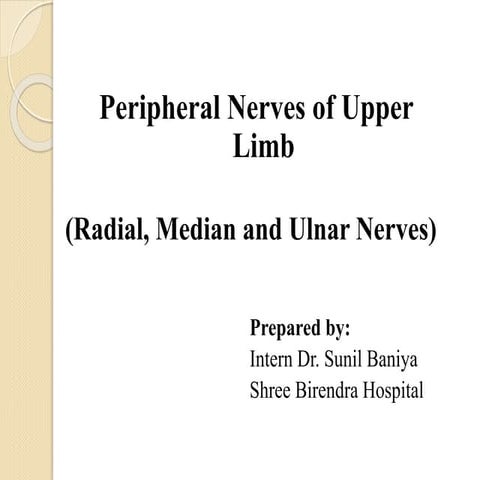 Peripheral Nerves of Upper Limb [Radial, Median & Ulnar nerve]