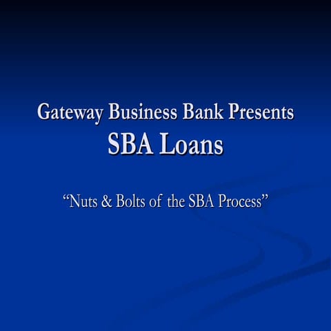 SBA Loans 2009