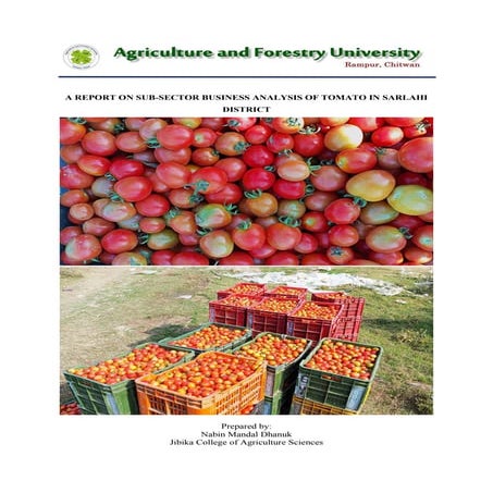 Subsector Feasibility analysis ON TOMATO SARLAHI.docx