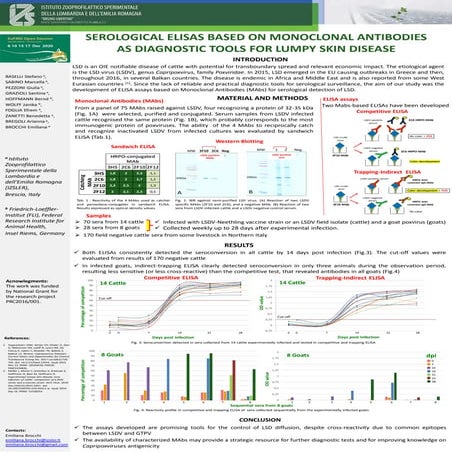 SEROLOGICAL ELISAs BASED ON MONOCLONAL ANTIBODIES AS DIAGNOSTIC TOOLS FOR LUM...