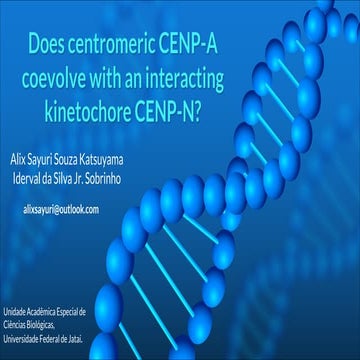 Does centromeric CENP-A coevolve with an interacting kinetochore CENP-N ...