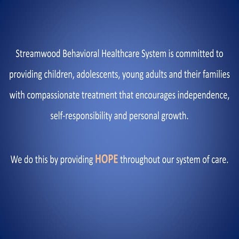 Sbhs service excellence video untouched final