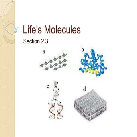 life’s molecules 