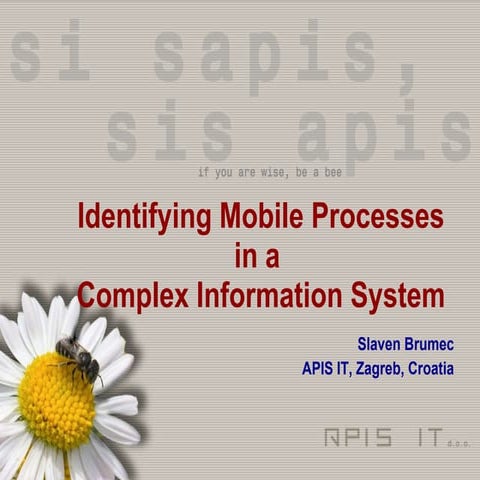 Identifying Mobile Processes in a Complex Information System
