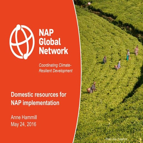 Domestic resources for implementing National Adaptation Plans