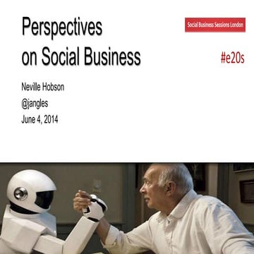 Perspectives on Social Business