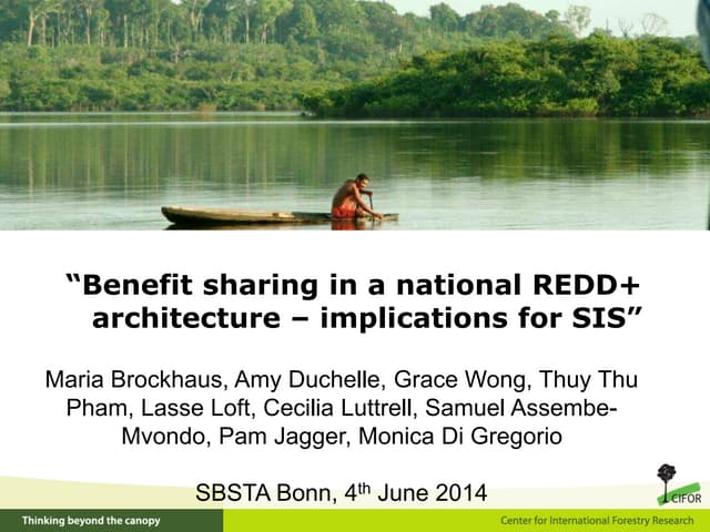 Benefit sharing in a national REDD+ architecture – implications for SIS
