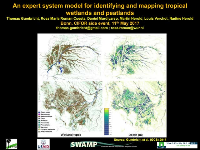 An expert system model for identifying and mapping tropical wetlands and peatlands