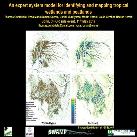 An expert system model for identifying and mapping tropical wetlands and peat...