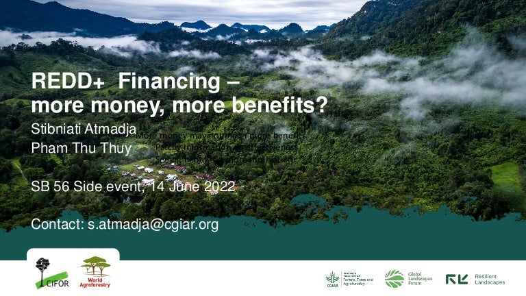 thumbnail of REDD+ Financing - more money, more benefits?