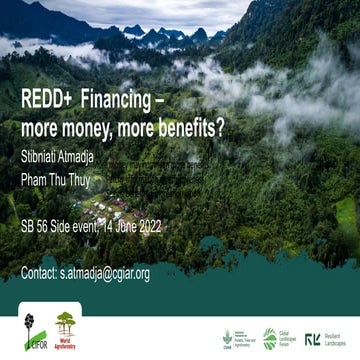 REDD+ Financing - more money, more benefits?