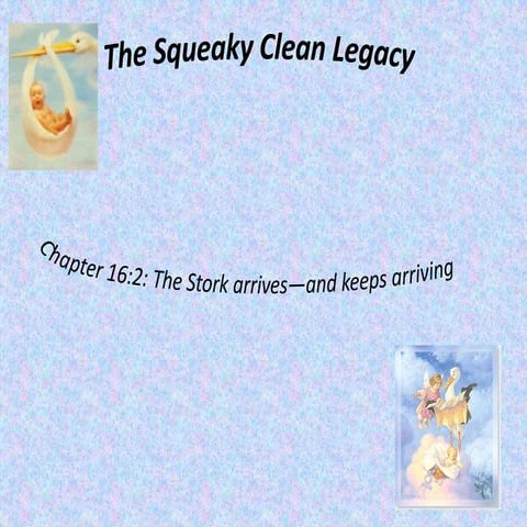 Squeaky Clean Legacy, 16.2