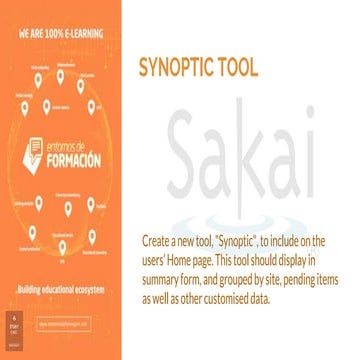 SYNOPTIC TOOL