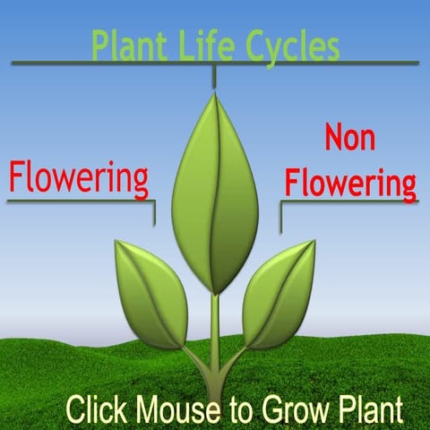 Sc3 2 life cycles of plants