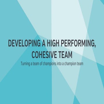 Developing a High Performing Team