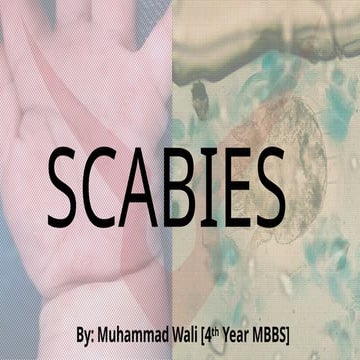 Scabies [Derma] smol.pptxbees bees bees bees