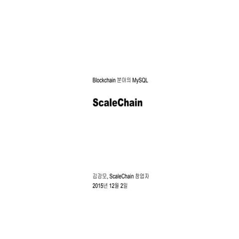 Scale chain 제품소개