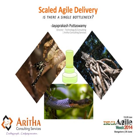 Scaled Agile Delivery - Is there a single bottleneck?