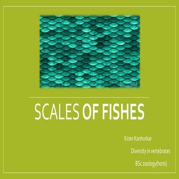 Scales in fishes
