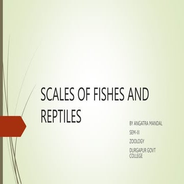 SCALES OF FISHES AND REPTILES.pptx