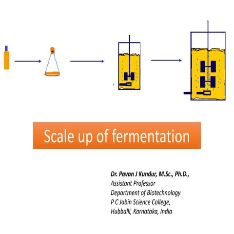 Fermentation -- Scale up Technology