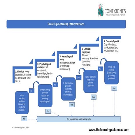 Scale Up Learning Interventions. Tracey Tokuhama-Espinosa, Ph.D. | PDF