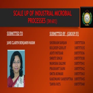 Scale up of industrial microbial processes 