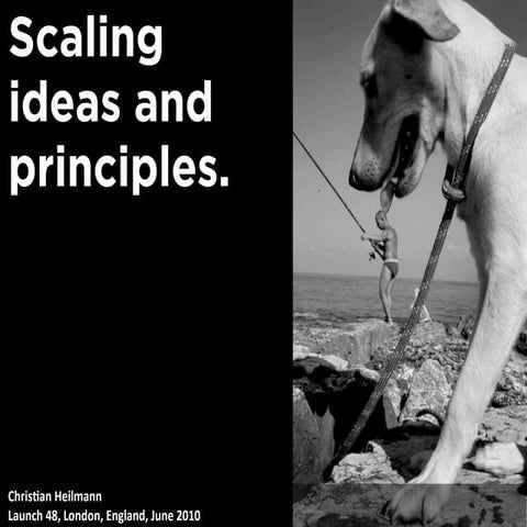 Scaling ideas and principles