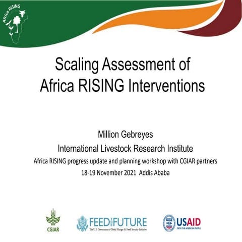 Scaling assessment 2021