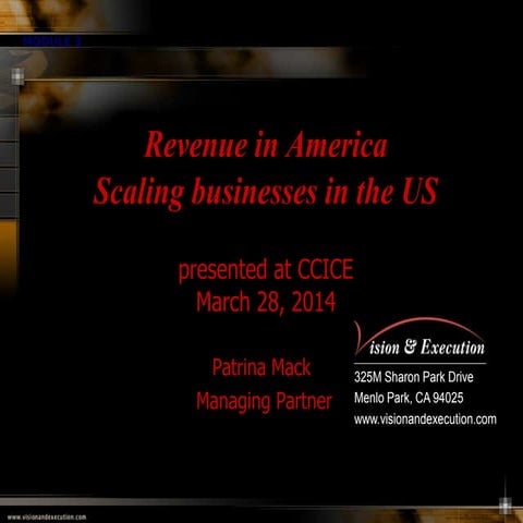 Revenue in America:  Scaling businesses in the US