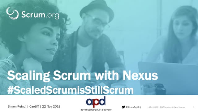 Scaling Scrum - Nexus Zoo