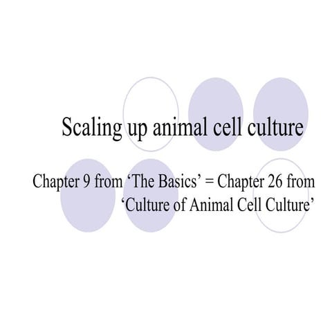 Scaling up animal cell culture using Bioreactors.ppt
