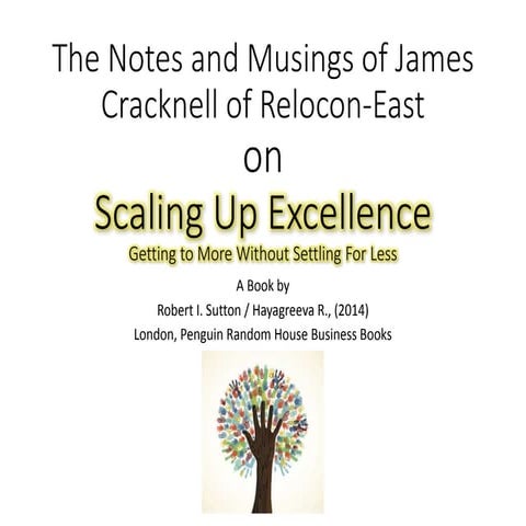 Scaling up excellence notes