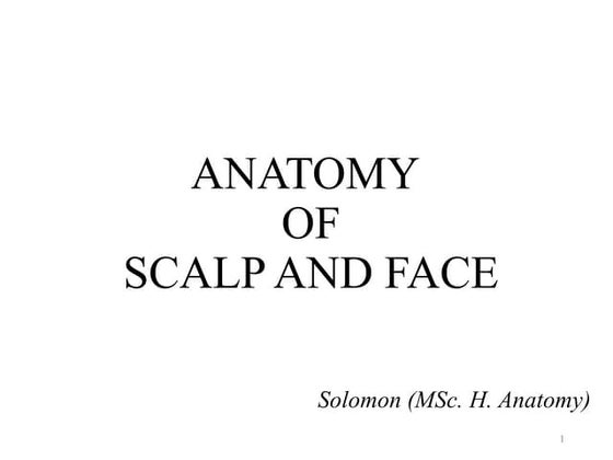Solomonmulualem1 presentations
