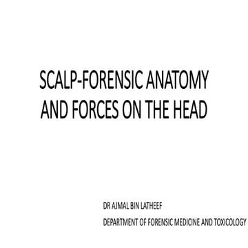 Scalp forensic antomy