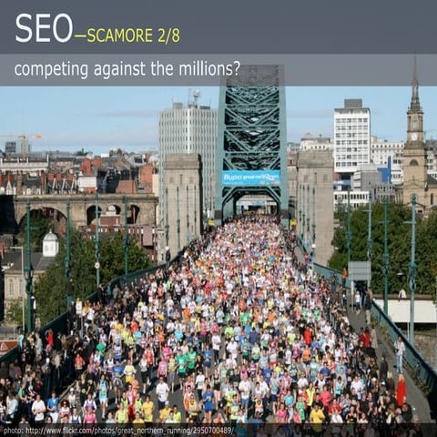 SEO: SCAmore