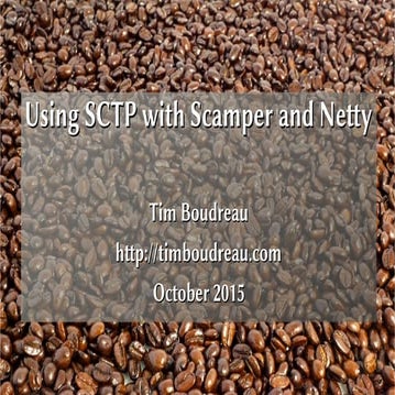 Using SCTP with Scamper and Netty