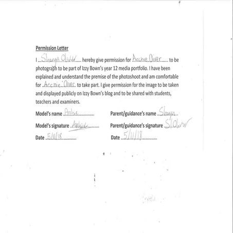 Visitor script | DOCX