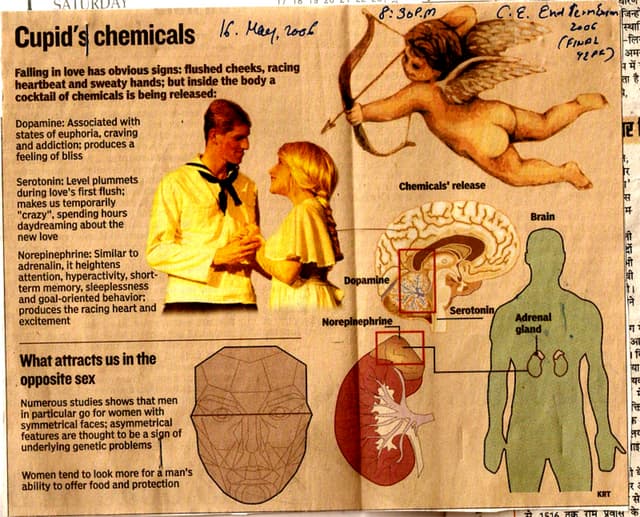 What attract us in the opposite sex