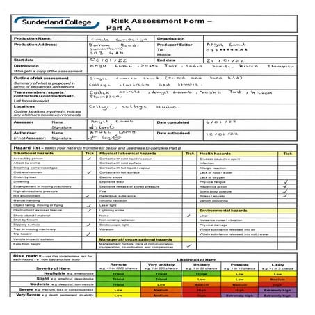 Risk Assessment Form | PDF | Business | Business and Finance