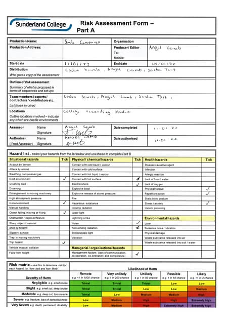 Risk Assessment | PDF