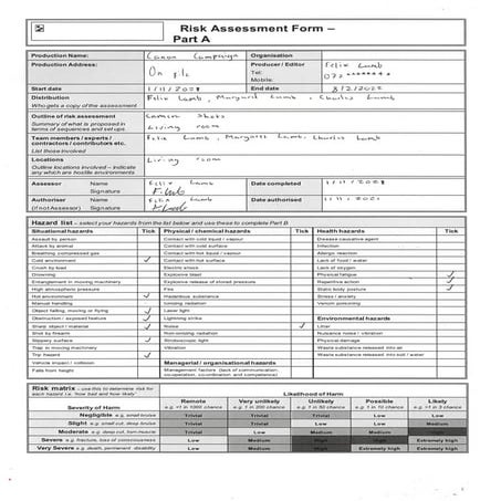 Risk Assessment | PDF