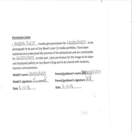 Visitor script | DOCX
