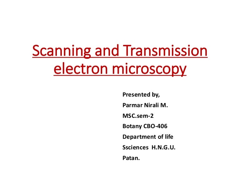 Scanning and transmission electron microscopy